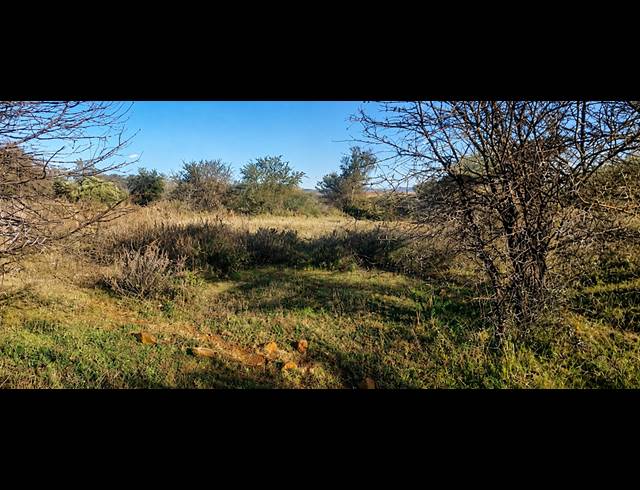 14.80HA FARM FOR SALE IN BLESBOKLAAGTE
